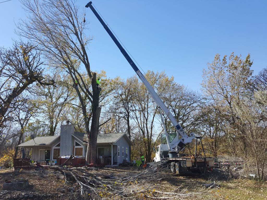 crane tree removal by wichita tree service