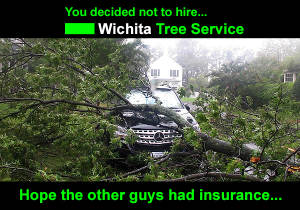 tree service near Wichita ks