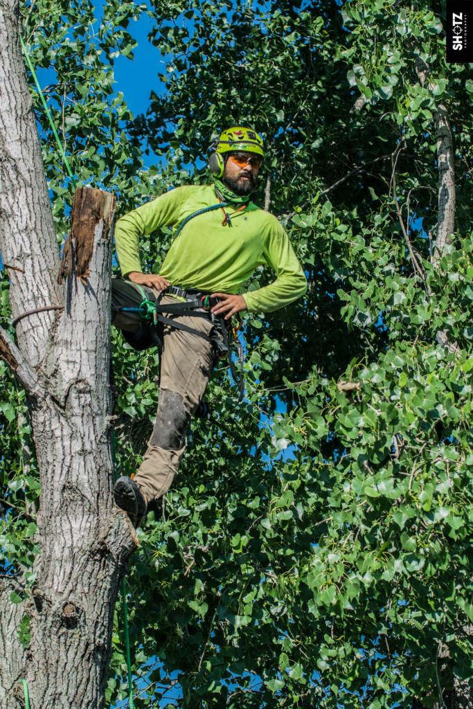 Tree Trimming Wichita KS